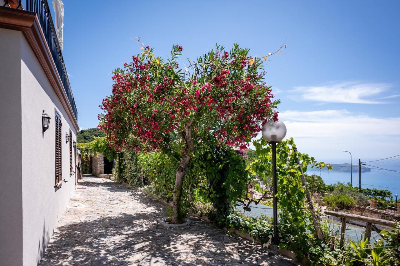 Villa Casa Aniello Caprioli Exterior foto